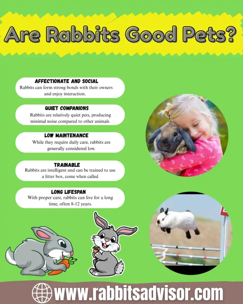 Are Rabbits Good Pets