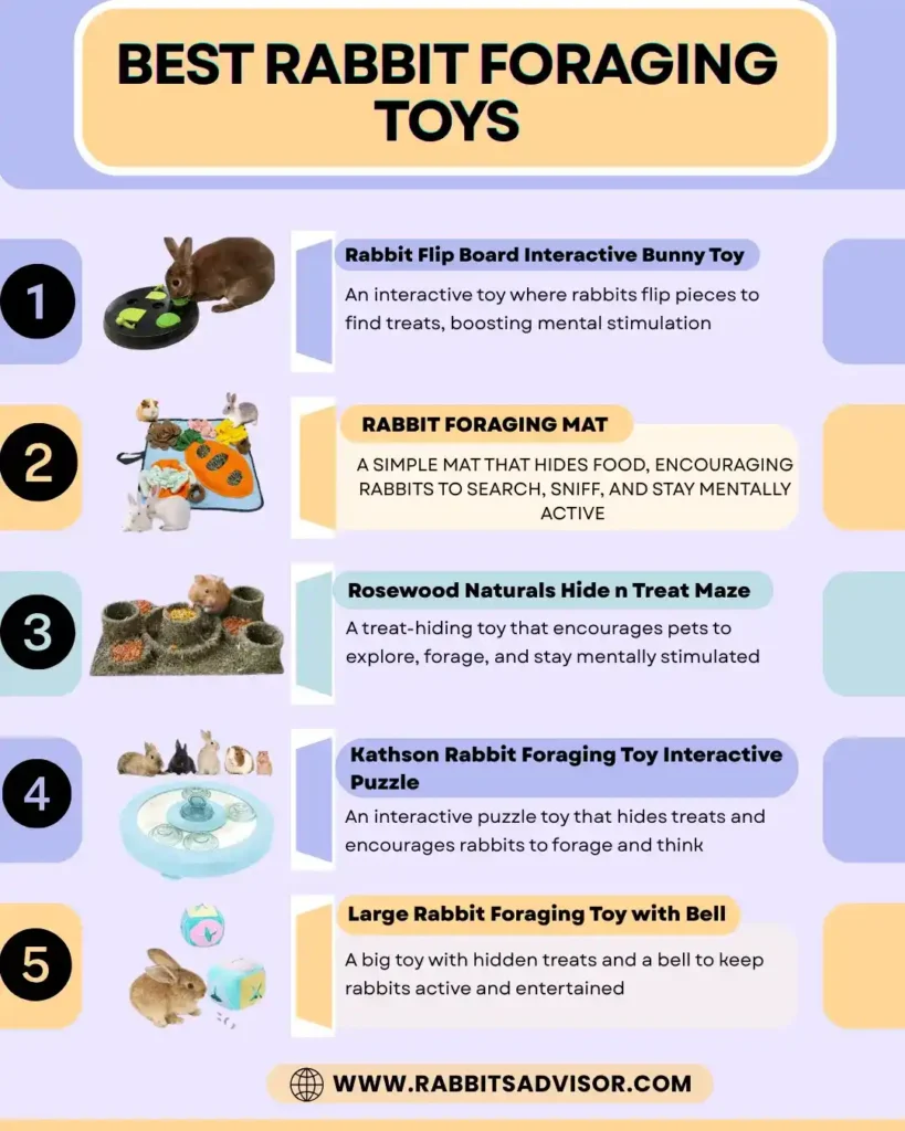 5 Best Rabbit Foraging Toys - Buy Right Now