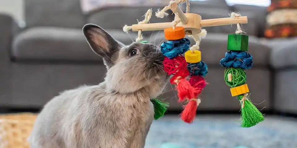 Large Rabbit Foraging Toy with Bell
