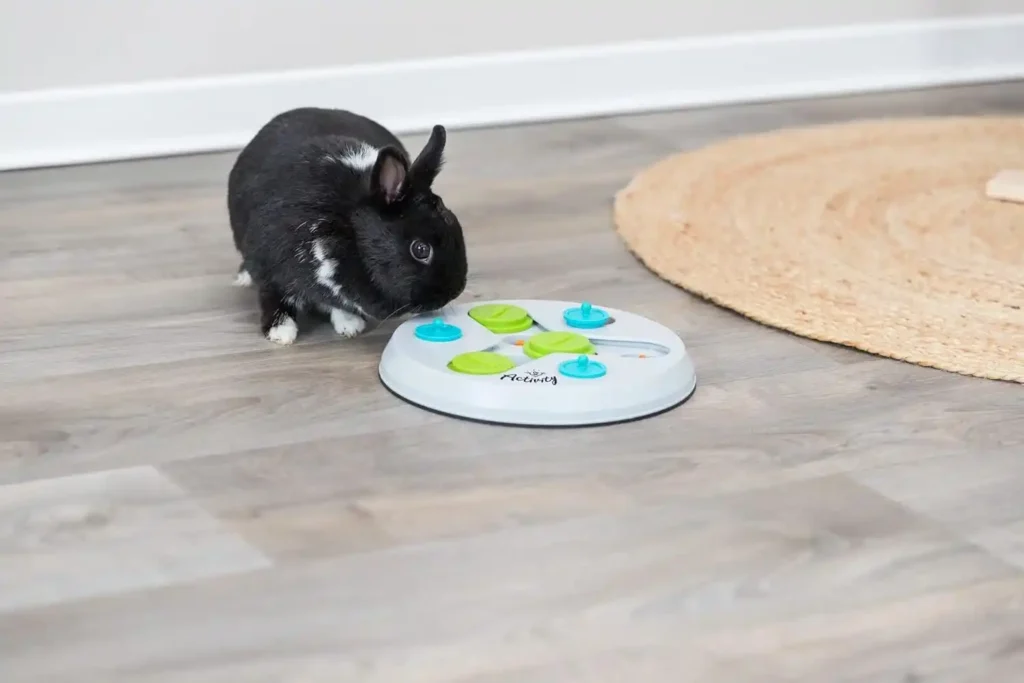 Rabbit Flip Board Interactive Bunny Toy

