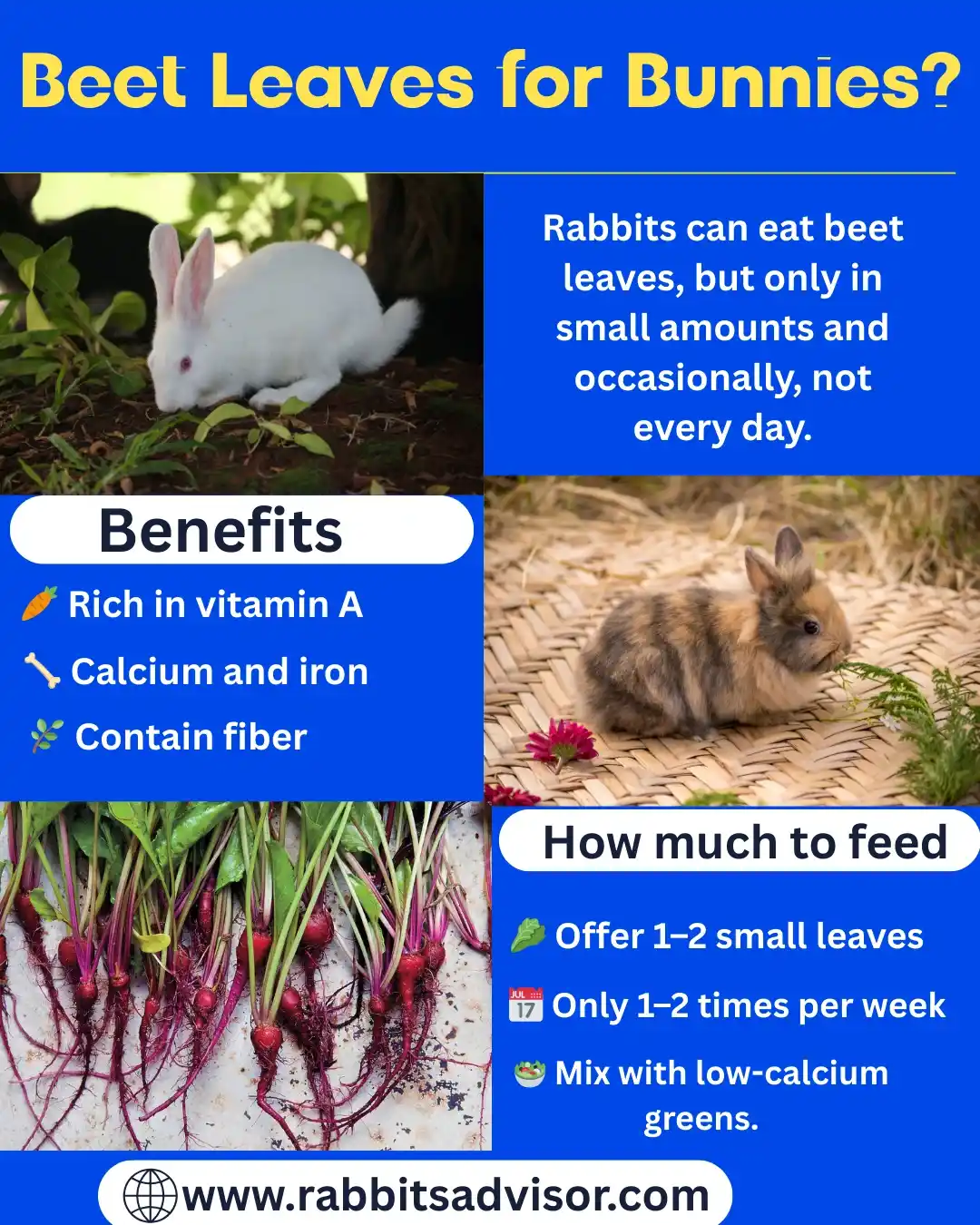 Beet Leaves for Bunnies