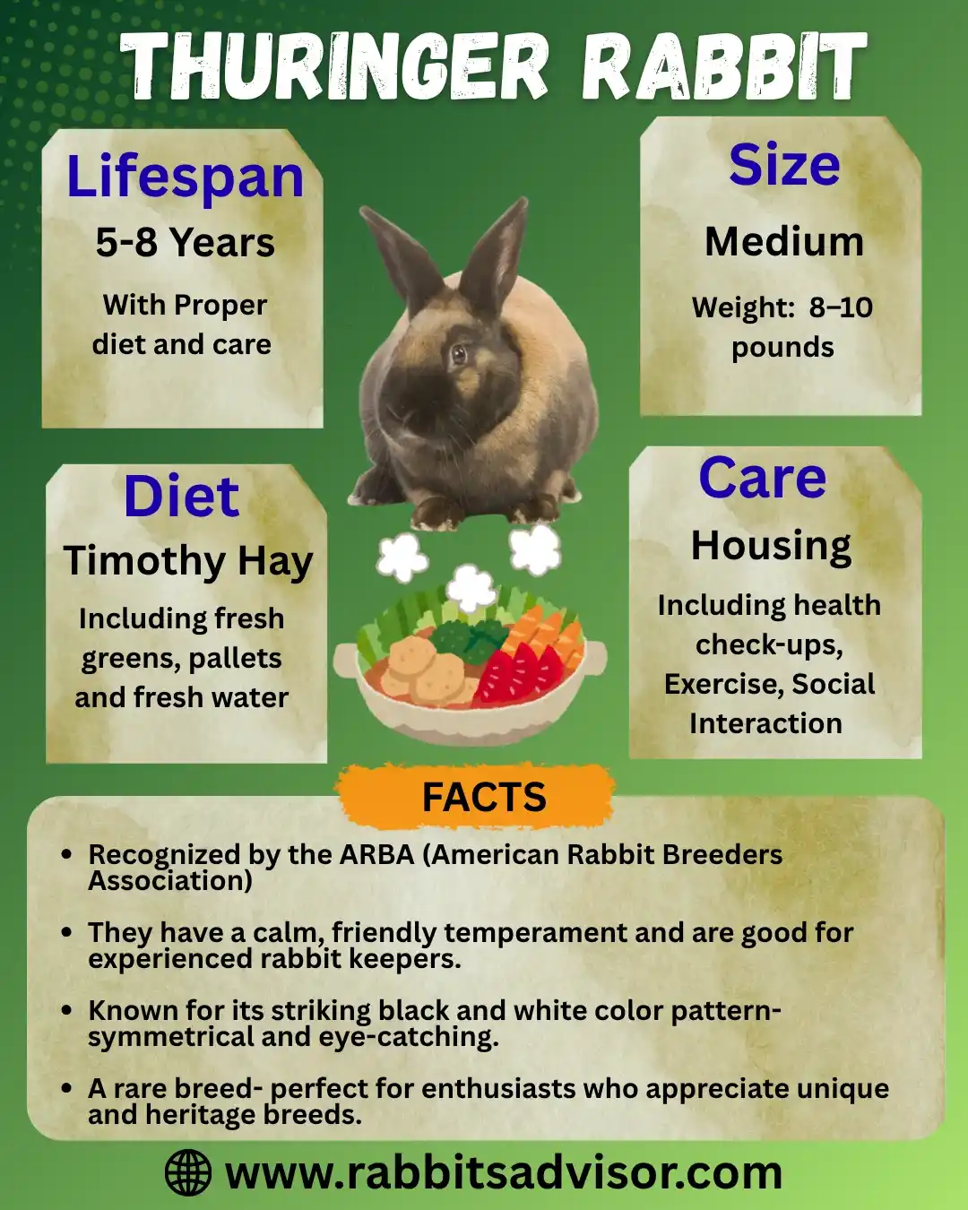 Thuringer Rabbit Facts
