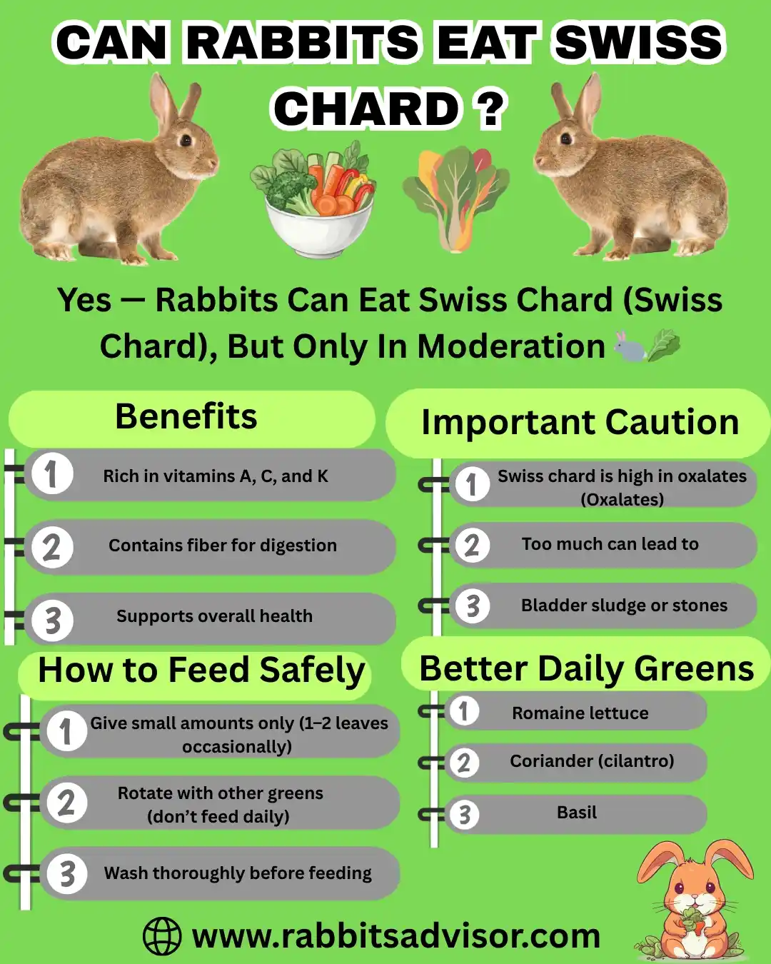 can bunnies eat swiss chard