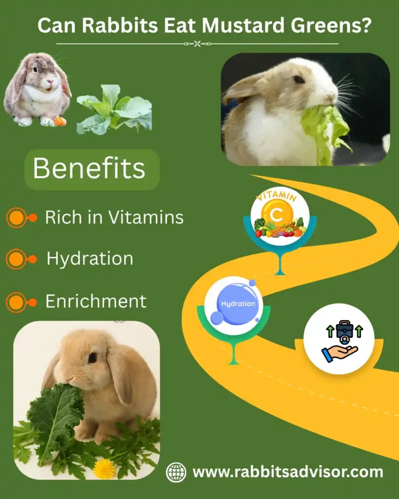Can Bunnies Eat Mustard Greens