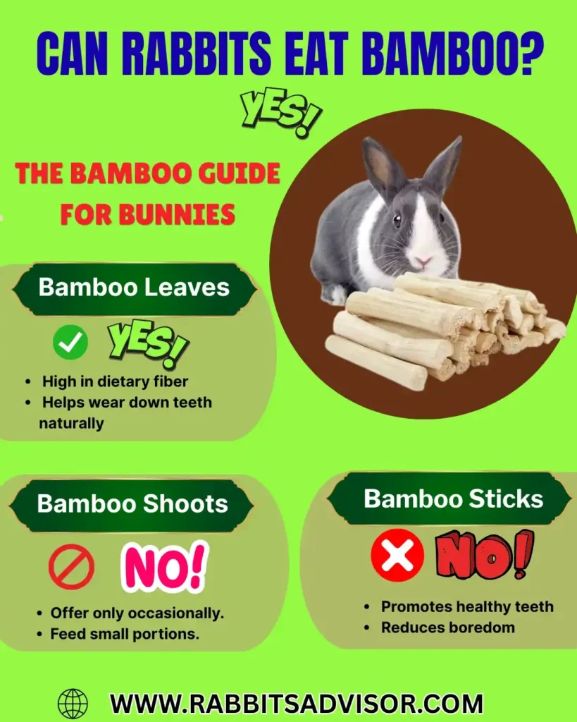 Can Rabbits Eat Bamboo