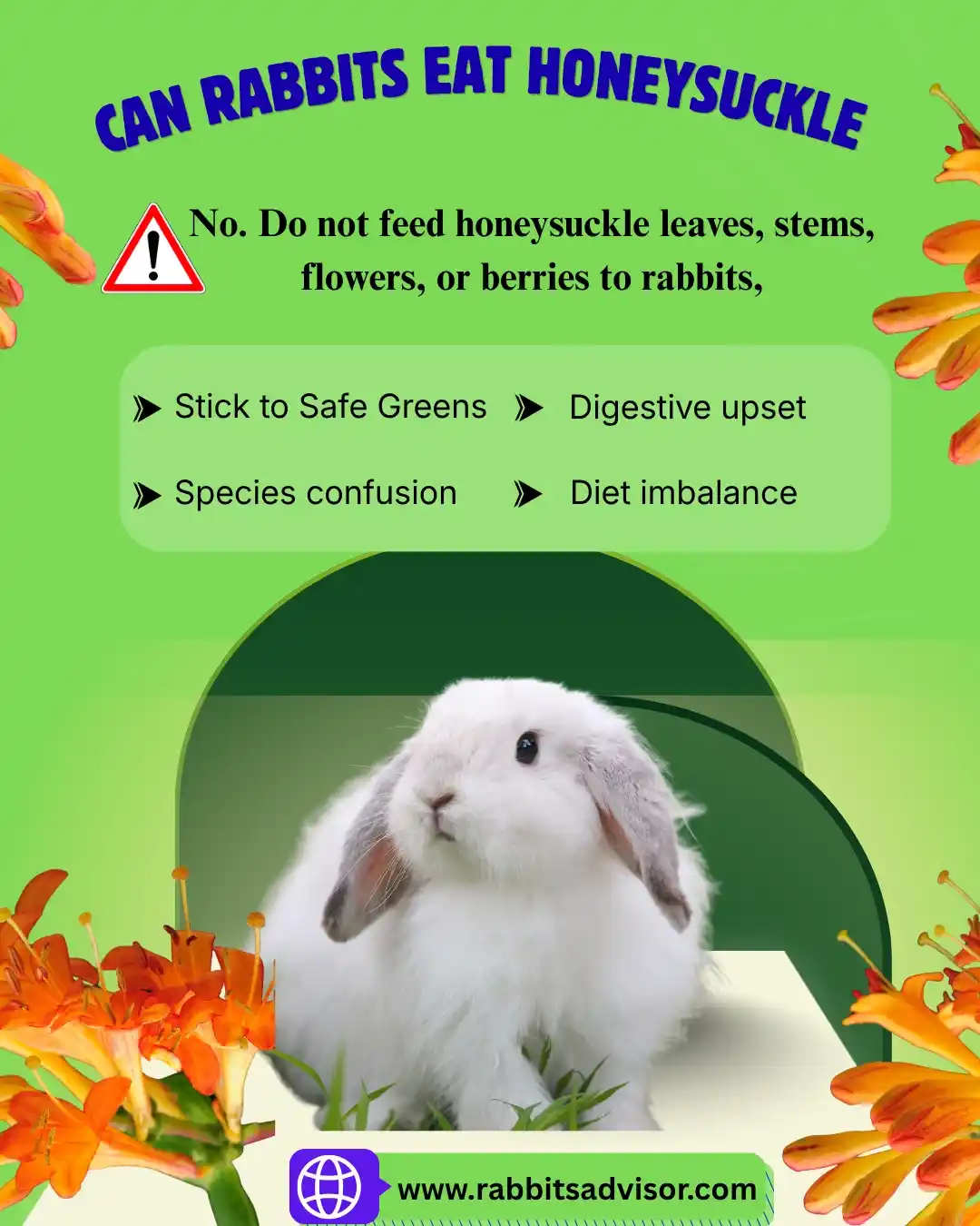 can bunny eat honeysuckle