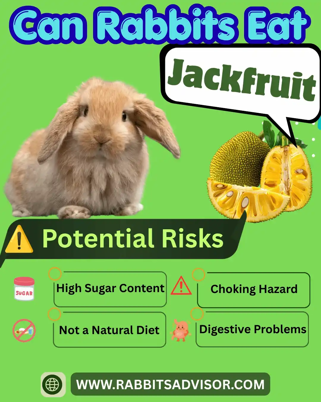 Can Bunny Eat Jackfruit