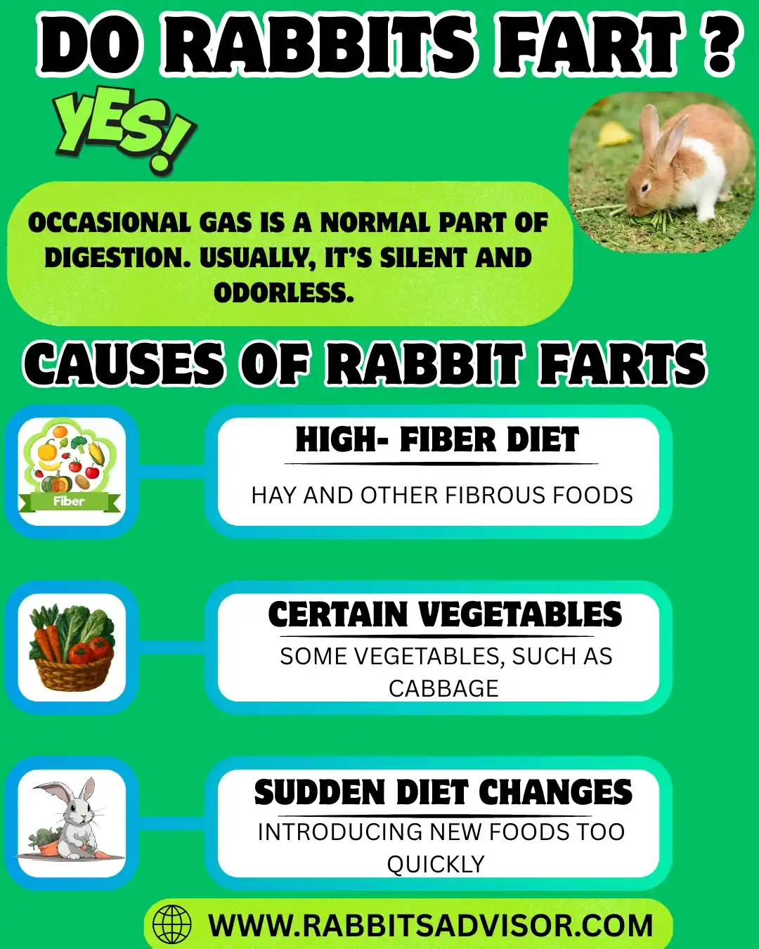 Do Bunny Fart